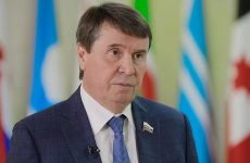 В Совфеде ответили на слова главы украинского МИД о «деоккупации» Крыма
