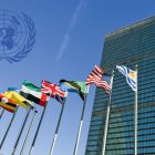 В Совфеде прокомментировали резолюцию ГА ООН о борьбе с коронавирусом