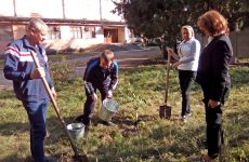 Садовое искусство – на благо народу