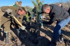 Георгий Шаповалов: В Крыму увеличению площади лесов уделяется значительное внимание