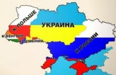 В Совфеде прокомментировали слова Арестовича о «корейском сценарии» для Украины