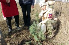Международная акция «Сад памяти» прошла в городе-герое Керчи